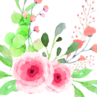 Roses aquarelle